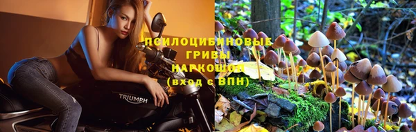 дурь Покровск