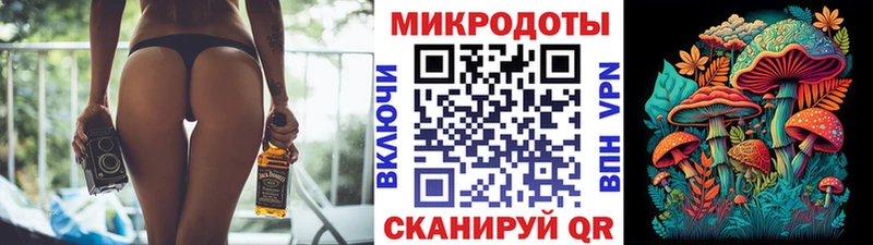 Купить где Томари Псилоцибиновые грибы прущие грибы